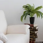 Apartament Da Amare - Centro *